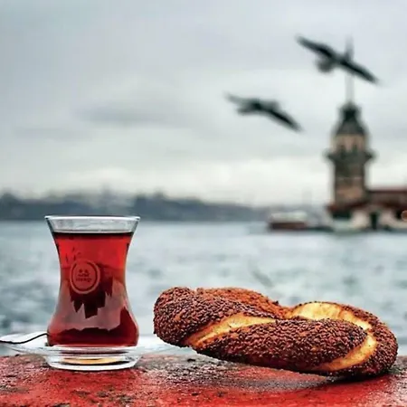 Sehir Old 3* Istanbul
